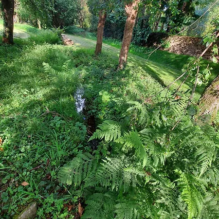 펜션 Reveries Aux Corbieres, Jusqu'a 6 Personnes Saint-Thomas-de-Courceriers